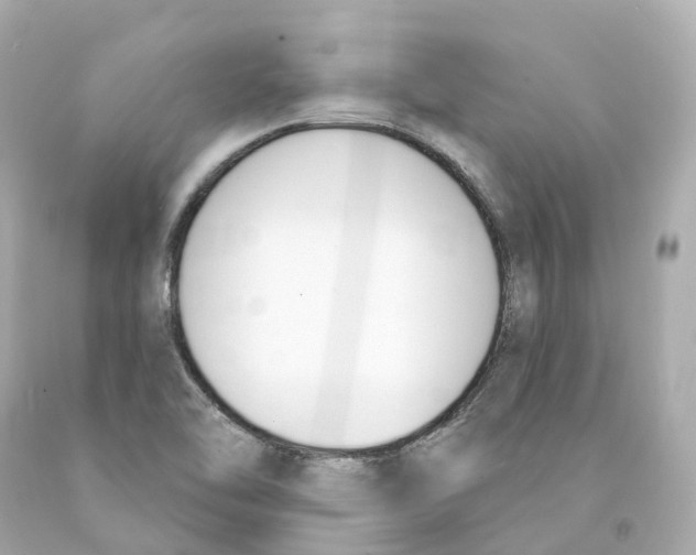 X0000093091462200710241151