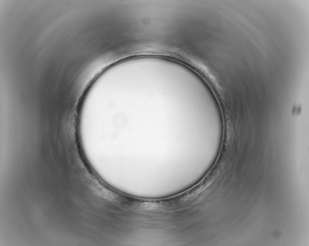 X0000093091463200710241151