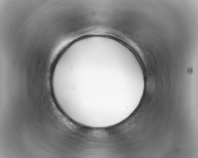 X0000093091464200710241151