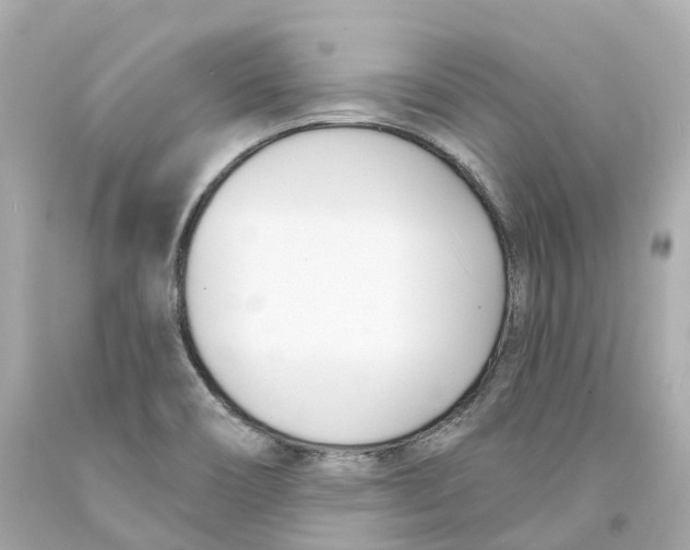 X0000093091466200710241151