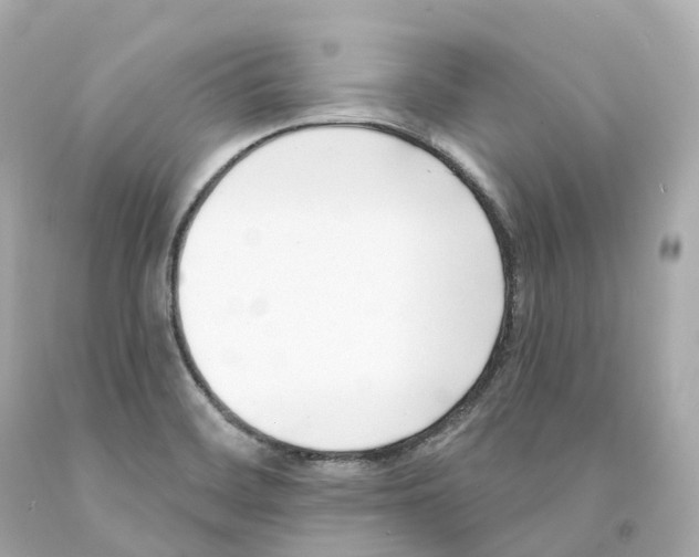 X0000093091468200710241151