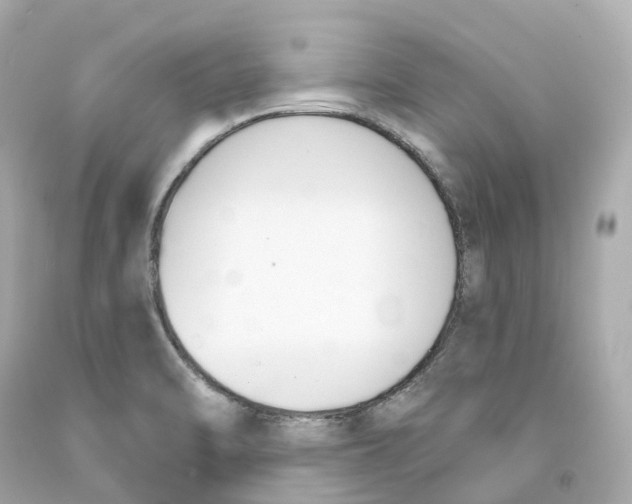 X0000093091470200710241151