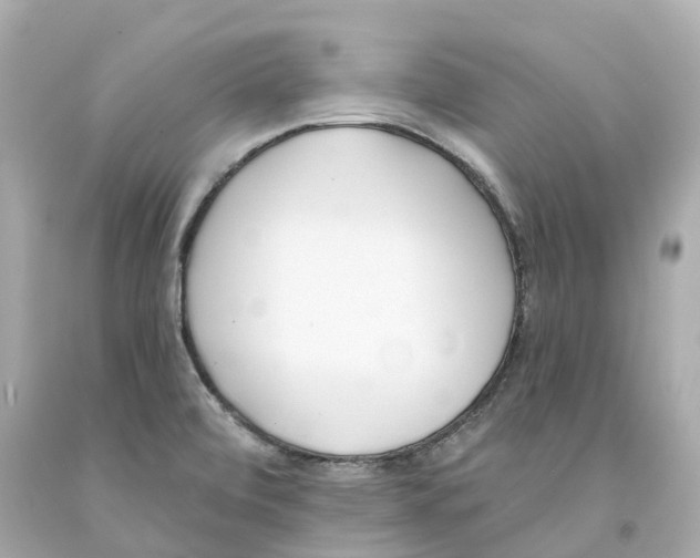 X0000093091472200710241151