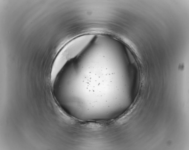 X0000093091473200710241151
