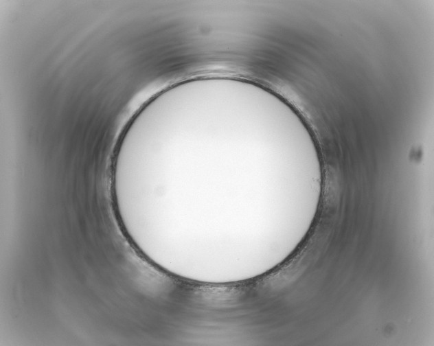 X0000093091474200710241151