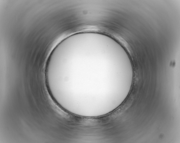 X0000093091475200710241151