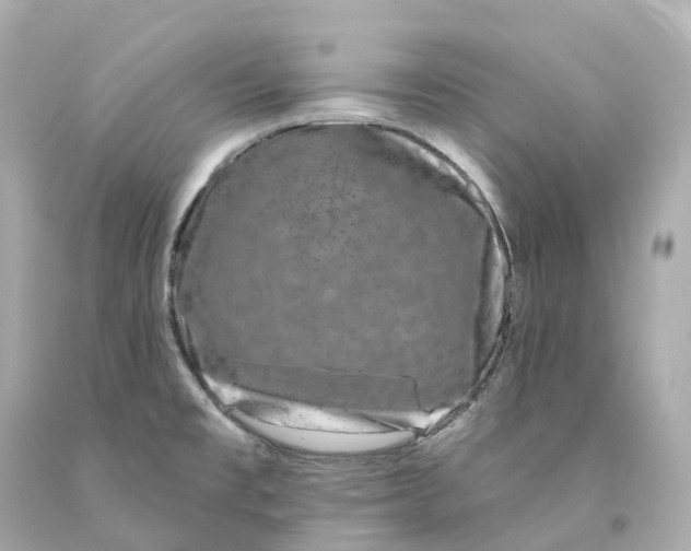 X0000093091477200710241150