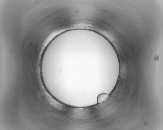 X0000093091478200710241150