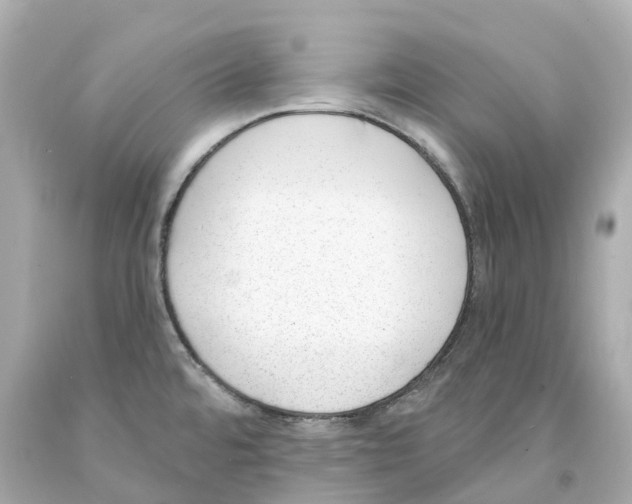 X0000093091480200710241150