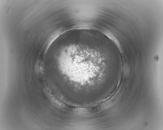 X0000093091481200710241150