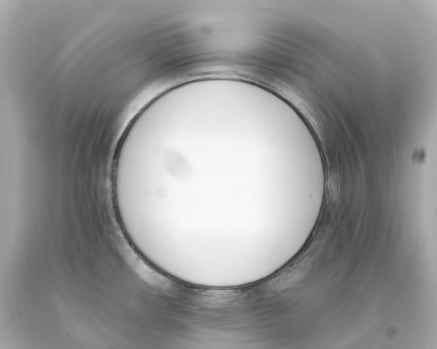 X0000093091482200710241150
