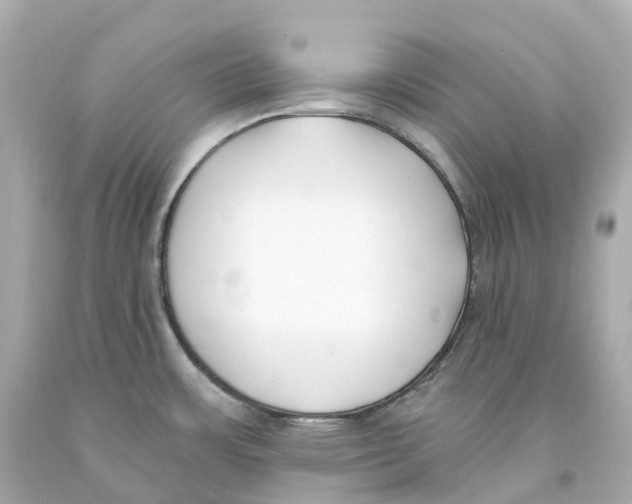 X0000093091483200710241150