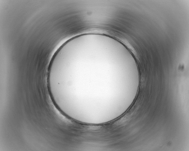 X0000093091484200710241150