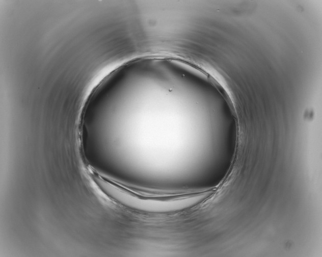 X0000093091485200710241150
