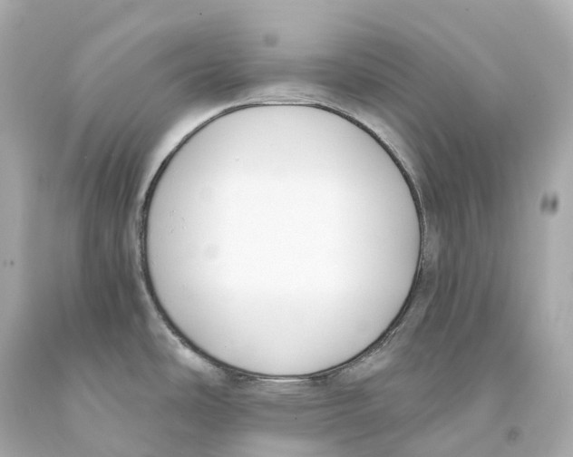 X0000093091486200710241150