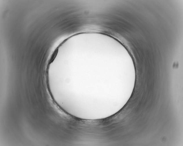X0000093091488200710241150