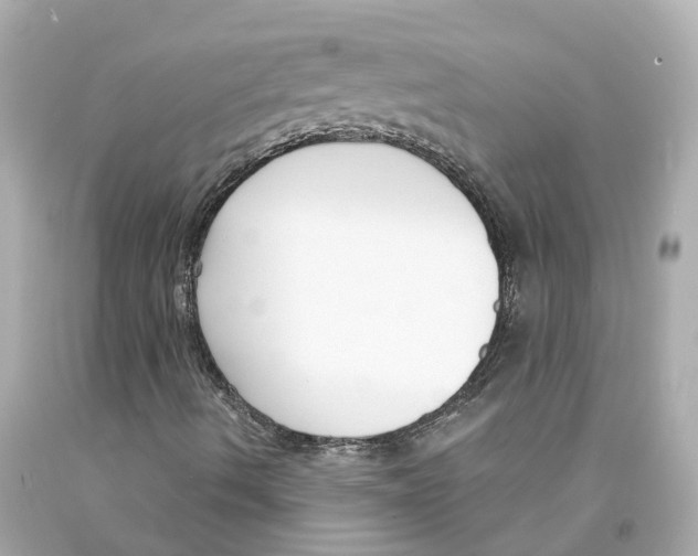 X0000093091490200710241150