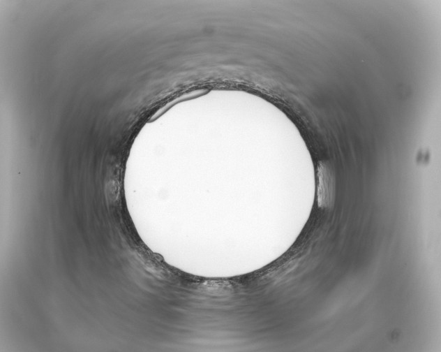 X0000093091491200710241150