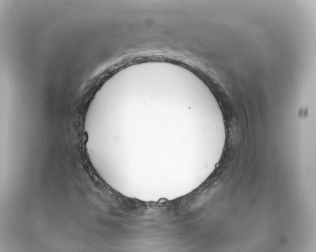 X0000093091494200710241150