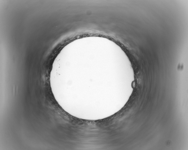 X0000093091495200710241150