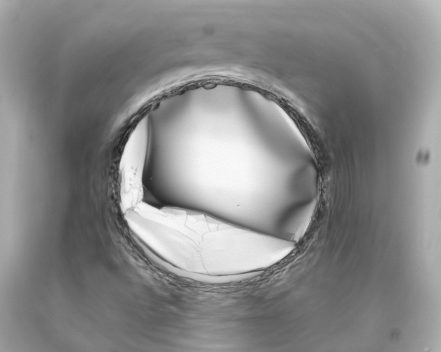 X0000093091496200710241150