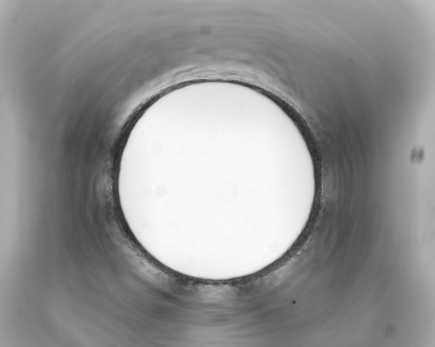 X0000093091498200710241150