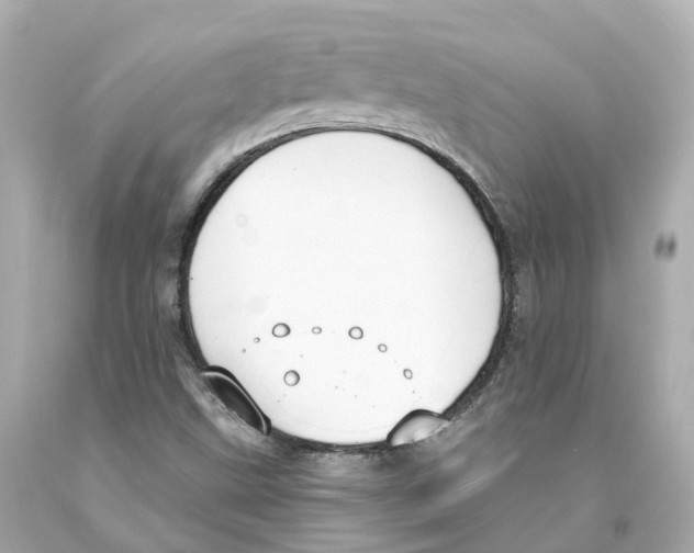 X0000093091499200710241150