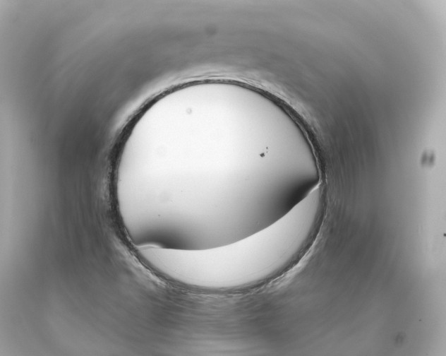 X0000093091502200710241150