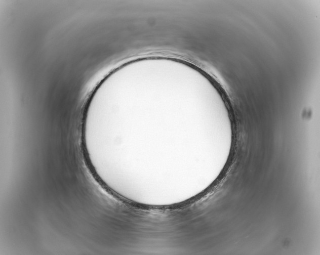 X0000093091504200710241150