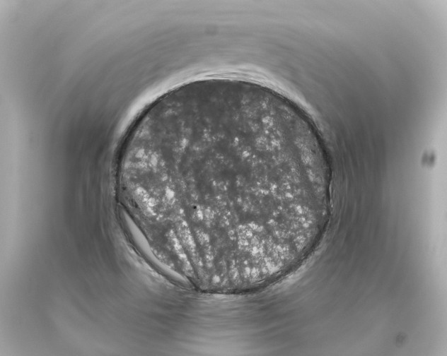 X0000093091506200710241150