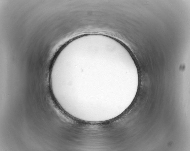 X0000093091507200710241150