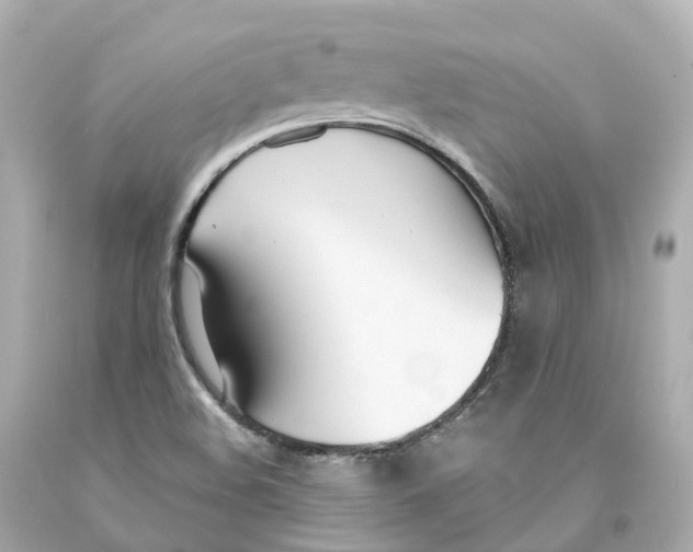 X0000093091508200710241150