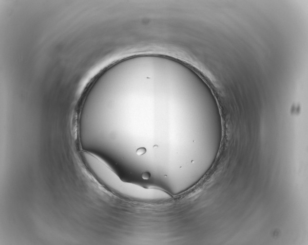 X0000093091510200710241150