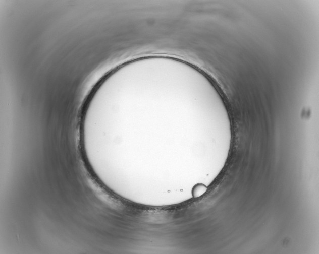 X0000093091511200710241150