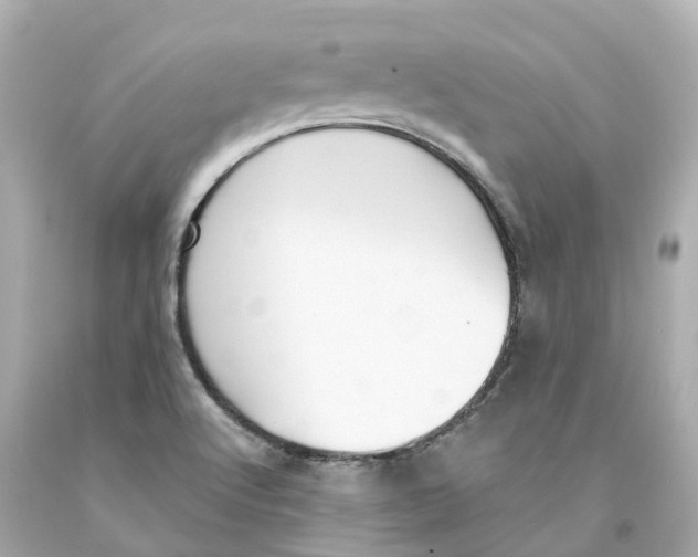 X0000093091512200710241150
