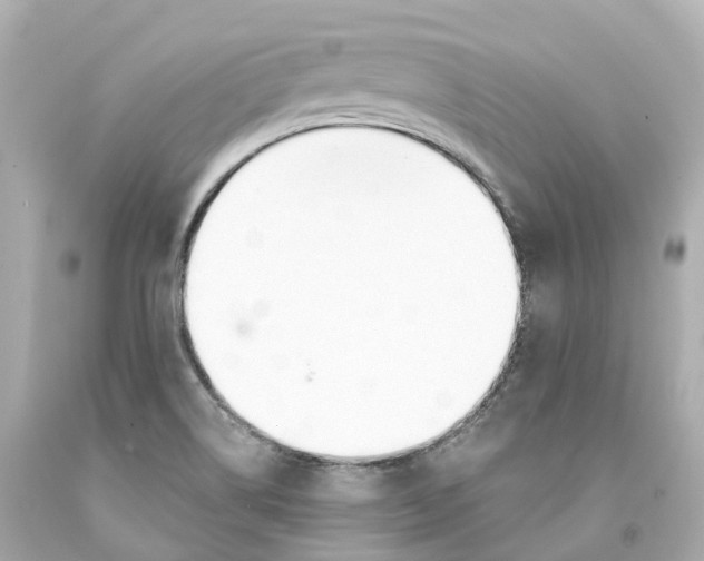 X0000093091514200710241150