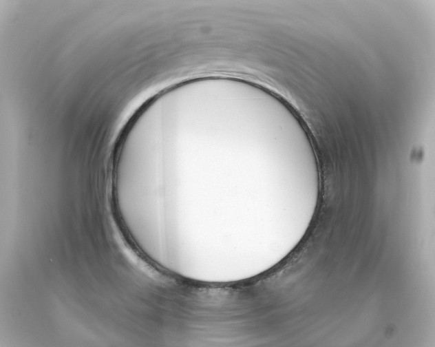 X0000093091515200710241150