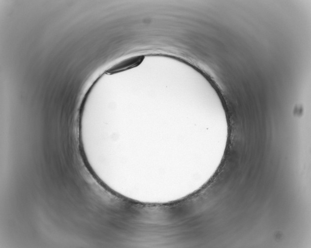 X0000093091516200710241150