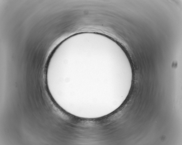 X0000093091517200710241150