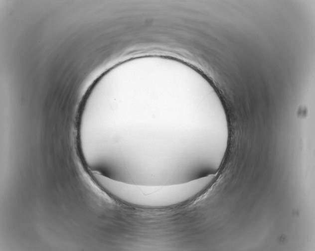 X0000093091518200710241150