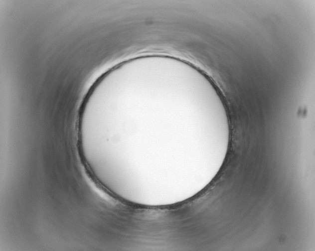 X0000093091519200710241150