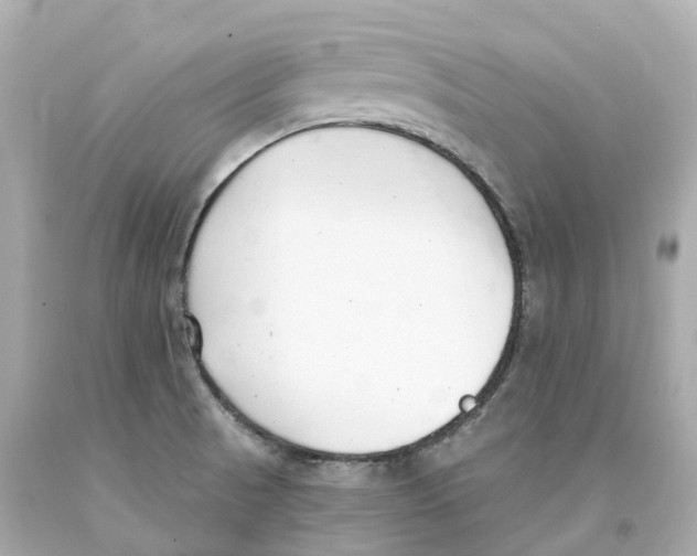 X0000093091521200710241150
