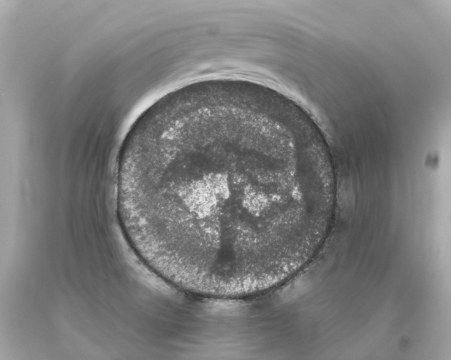 X0000093091522200710241150
