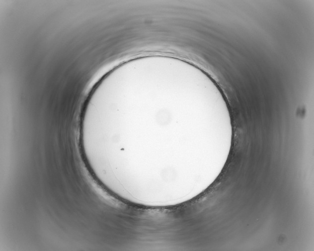 X0000093091523200710241150