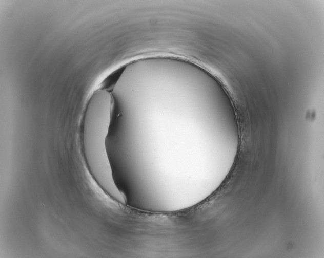 X0000093091524200710241150