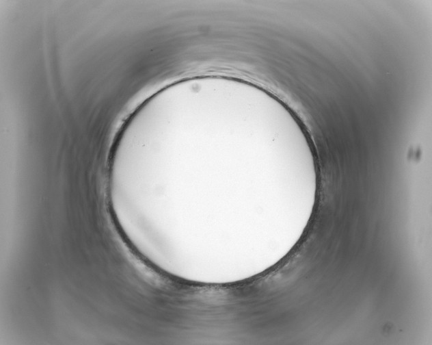 X0000093091525200710241150