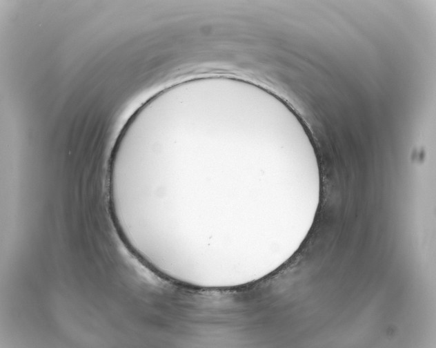 X0000093091527200710241150