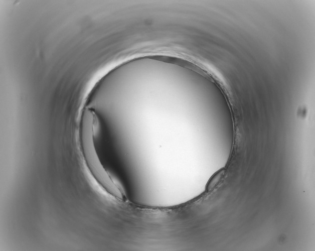 X0000093091528200710241150