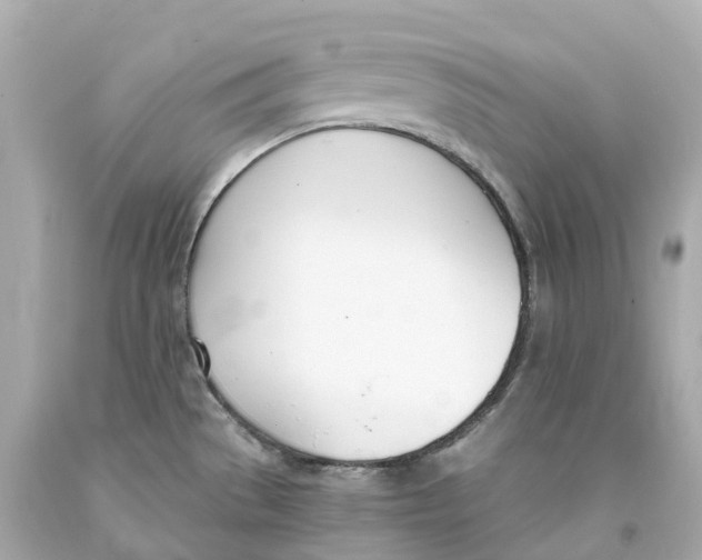 X0000093091529200710241150