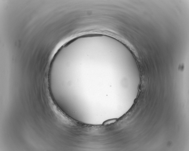 X0000093091530200710241150
